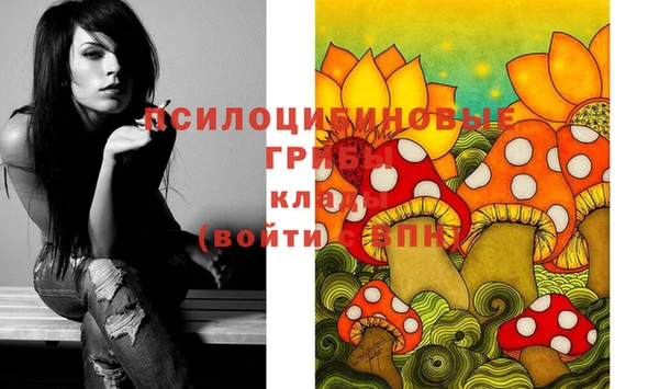 соль ск Зеленокумск