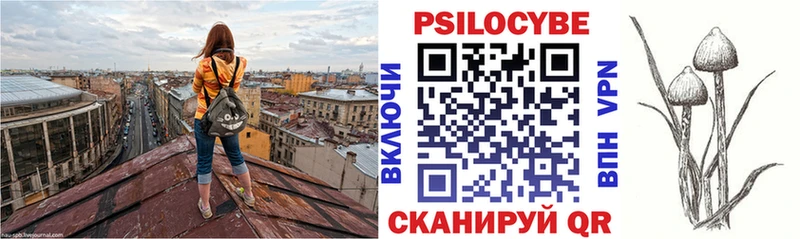 Псилоцибиновые грибы Cubensis  Купить закладки  Жиздра 