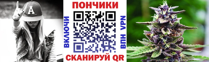 Купить закладки  Жиздра  МАРИХУАНА тримм 